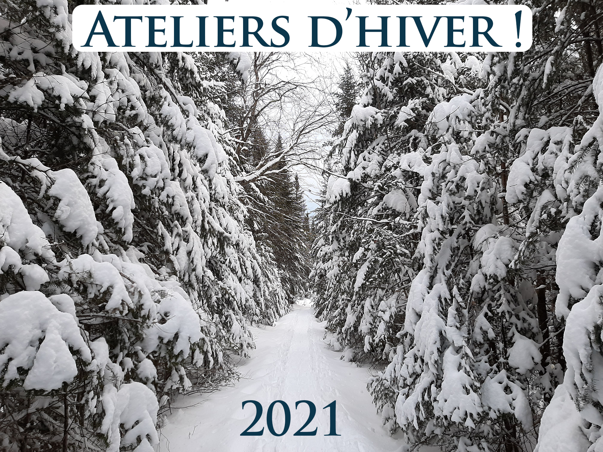 Ateliers d’hiver 2021 !